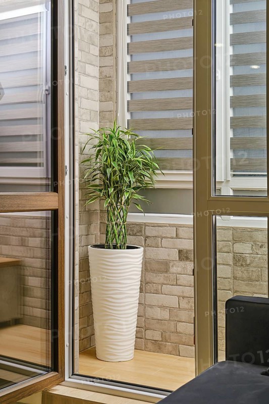 A green plant stands in a tall white pot in the corner of a space. Light comes through the windows, highlighting the plant. The walls have a brick texture. The floor is made of light wood