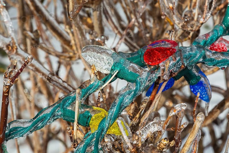 Close-up of red, white, yellow and blue outdoor Christmas tree lights covered with thick ice after freezing rain in late winter, Quebec, Canada