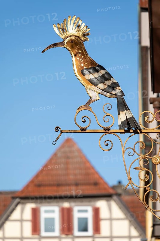 07.04.2026. A traditional golden wrought iron guild sign of a Hoopoe (Upupa epops) above the roofs of the old town. Kirchheim unter Teck, Germany