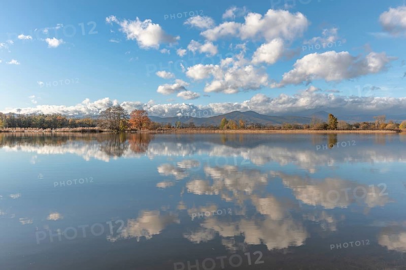 The river flows flat and reflects clouds and mountains under a clear sky. Autumn trees draw the shoreline. It is a quiet moment on the water's edge. Bas Rhin, Alsace, France