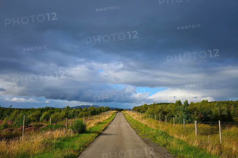 A straight road through a green landscape under a cloudy sky, Lairg, Scotland, United Kingdom, Great Britain