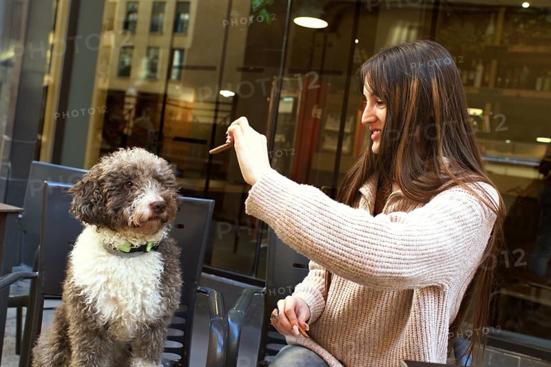 A young woman is joyfully interacting with her fluffy dog at an outdoor cafe, sharing a playful moment. She holds a treat, creating a warm and friendly atmosphere
