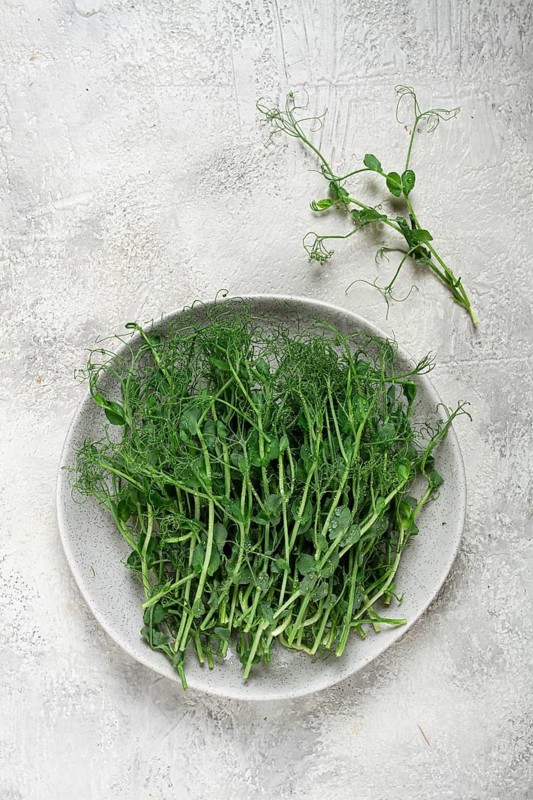 A collection of freshly picked pea shoots sits on a light ceramic plate, showcasing their delicate green leaves and tendrils against a textured surface. One shoot stands isolated nearby.
