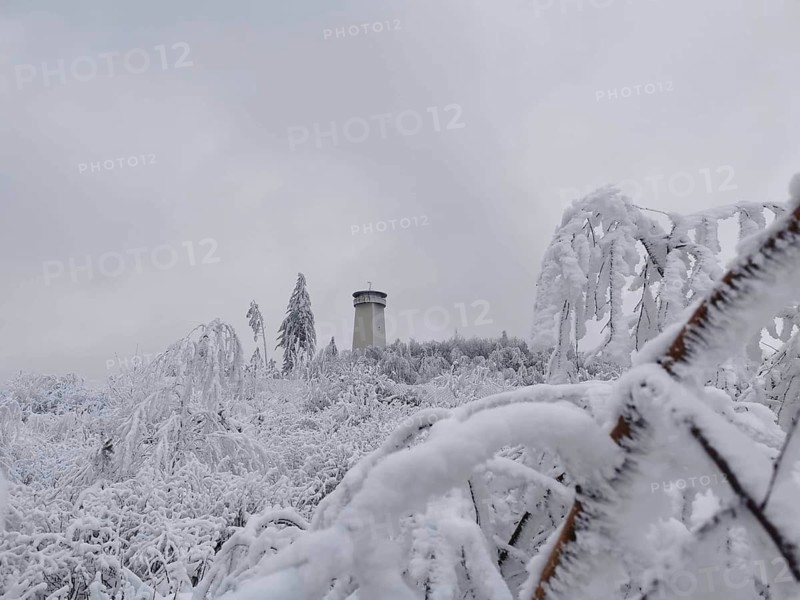 Tower in front of snow-covered trees in a cold winter environment, Thüringer Warte, Frankenwald nature park Park