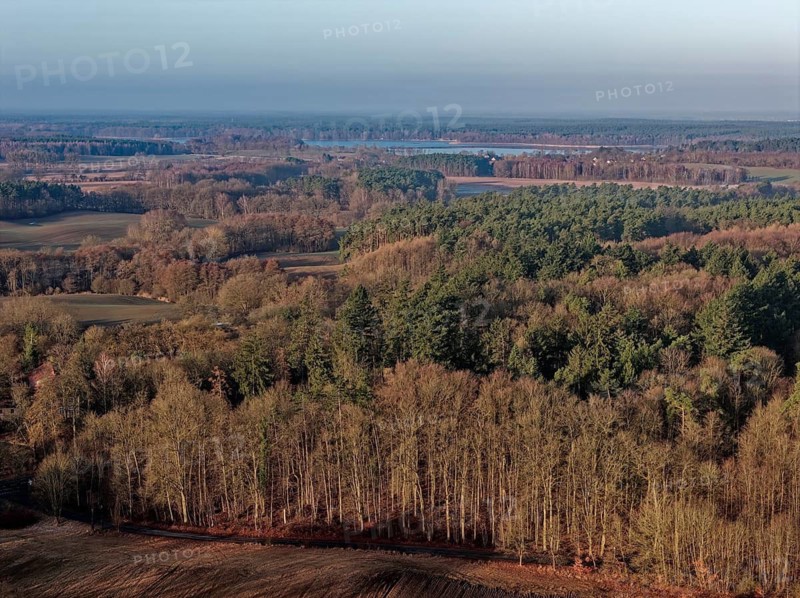 Landscape of the Mecklenburg Lake District in Müritz National Park. Lake Userin in the background. aerial view. Neustrelitz, Mecklenburg-Western Pomerania, Germany
