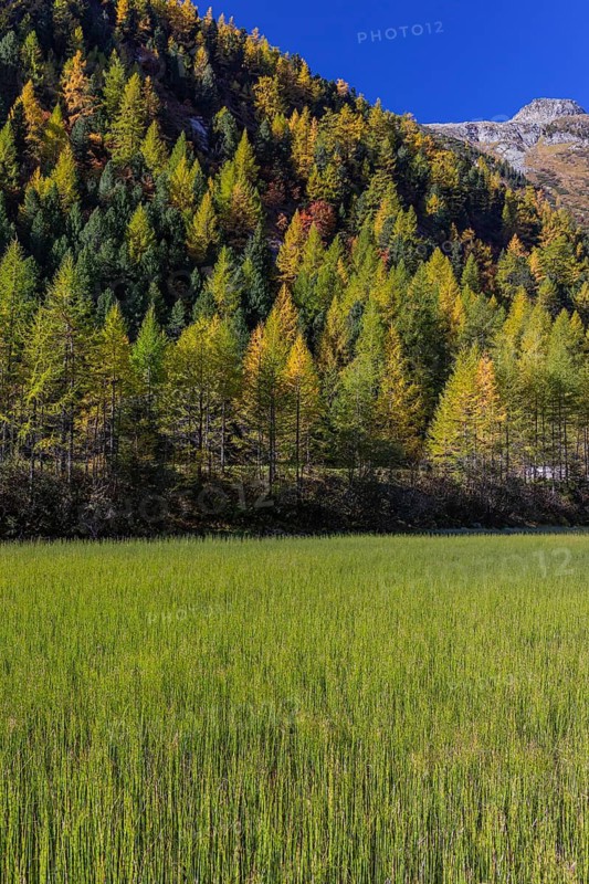 Little pond of the Malta river with a mountain forest in fall foliage on a bright sunny morning. Seen from the Malta Hochalm road. Carithia, Austria