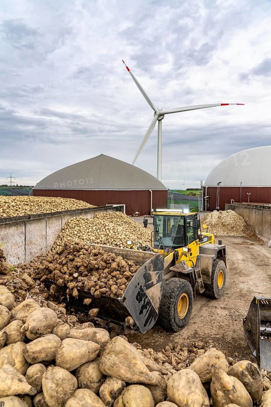 Biogas plant produces gas from various biomass, here the sugar beet storage, the electricity is produced in combined heat and power plants with the biogas produced and sold to companies in the neighbouring industrial estate, the heat generated is fed into a local heating network, gas storage and wind power plant, Ense, North Rhine-Westphalia, Germany