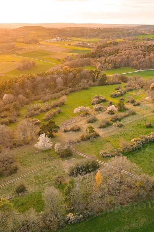 Aerial view of green landscape with blooming trees in warm sunset, e-bike tour, old sports ground in Gechingen, Hecken and Gäu region, Calw district, Germany
