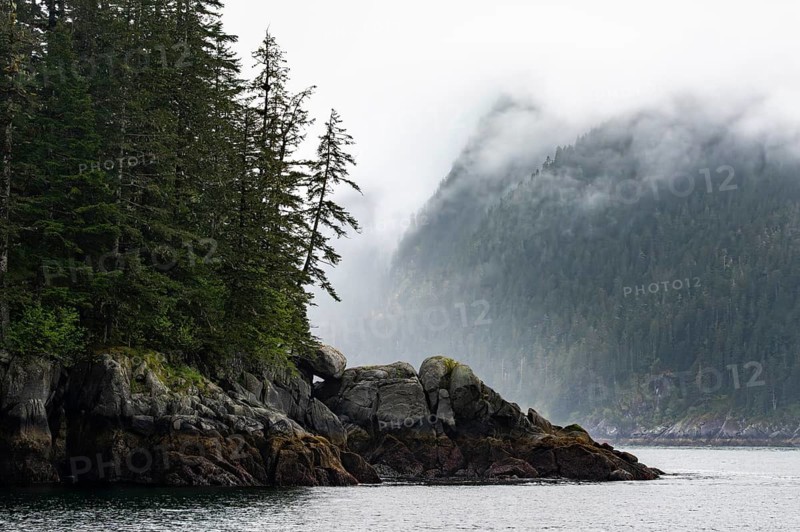 Rocky coast with coniferous forest, coastal landscape, mystical cloud-covered mountains, Kenai Fjords National Park, Kenai Peninsula, Alaska, USA