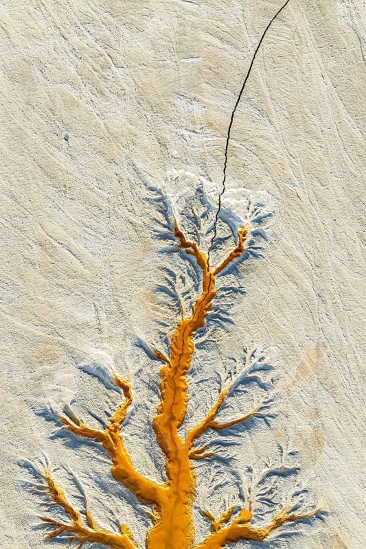 Aerial view of intricate fractal mud textures showcasing vivid orange branches against a pale surface, creating an abstract, tree-like appearance in nature