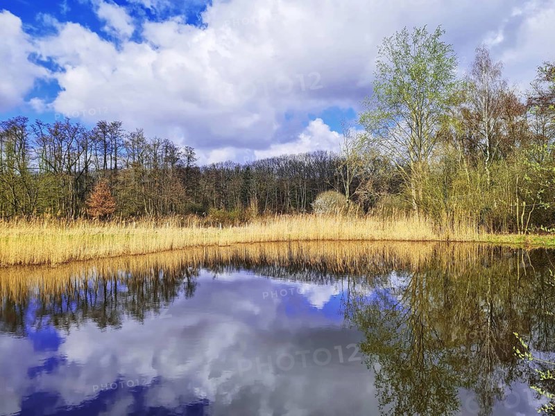 A breath of spring on a small body of water with dramatic clouds and tree reflections in the water, Nettetal North Rhine-Westphalia Lower Rhine