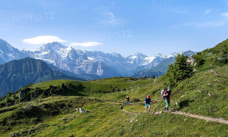 Hikers on a hiking trail on the Schynige Platte, picturesque mountain landscape, glaciated mountain peaks Breithorn and Jungfrau, Bernese Alps, Bernese Oberland, Switzerland