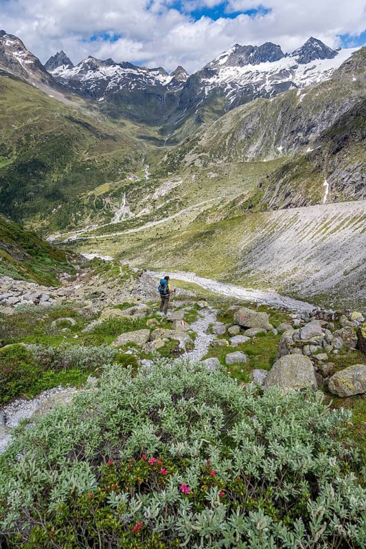Mountaineer on a hiking trail in front of a picturesque mountain landscape, rocky mountain peaks with snow, valley Zemmgrund with Zemmbach, mountain panorama with summit Großer Mörchner, Berliner Höhenweg, Zillertal Alps, Tyrol, Austria