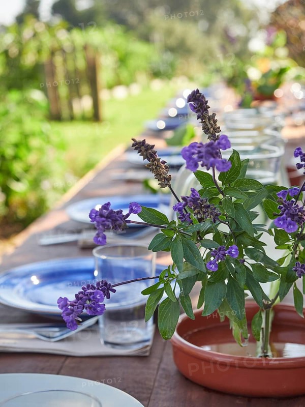 Blooming violet flowers placed on wooden banquet table near glassware and tableware in summer garden during celebration of special event