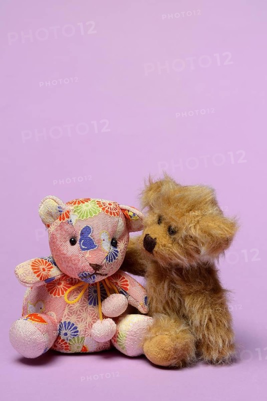 Two different teddy bears, leaning towards each other