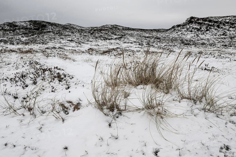 Dune landscape in snow, Langeoog, Lower Saxony, Germany