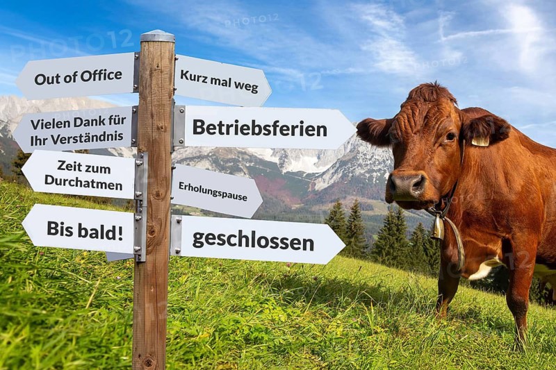 (photo montage) Freelance guide against an alpine background in various directions with terms on the subject of COMPANY HOLIDAYS