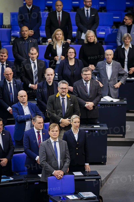 View of the AFD parliamentary group in the plenary of the Bundestag. Berlin, 31.01.2024