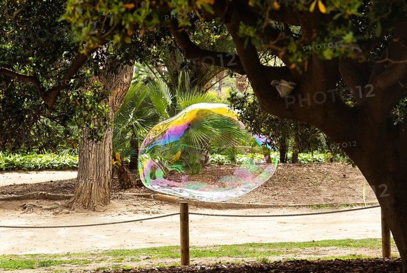 Large soap bubble in a park in Barcelona, Spain