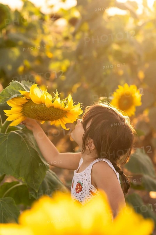 A young child admires a sunflower in a sunlit garden, surrounded by lush greenery. The warm, golden sunlight creates a dreamy and serene atmosphere, capturing the essence of childhood wonder
