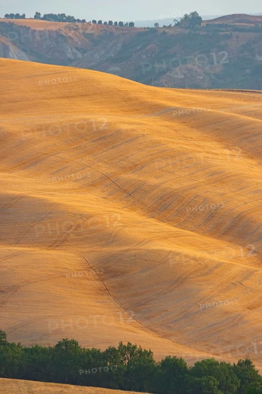 Typical Tuscan landscape of a harvested grain field in Crete Senesi in summer at sunrise, Siena, Tuscany, Italy
