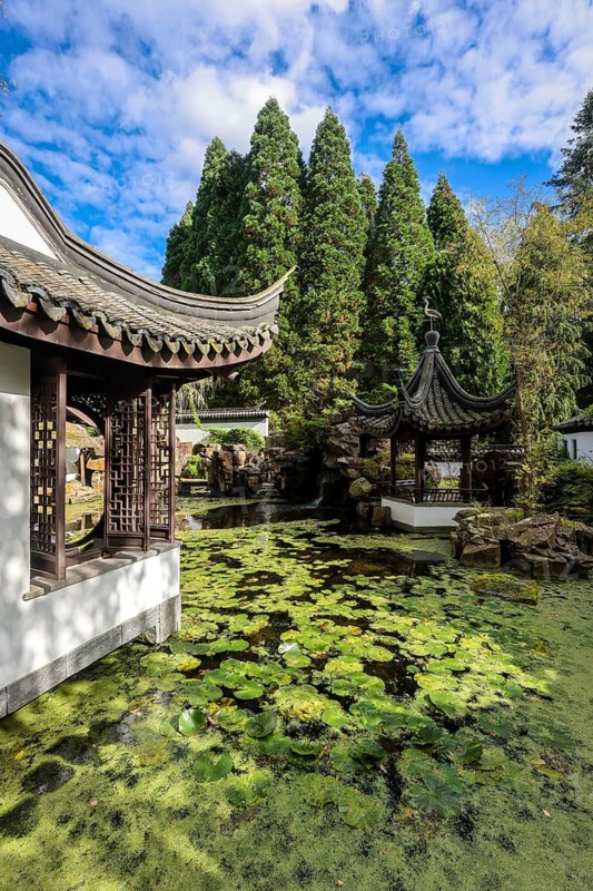 Bochum, North Rhine-Westphalia, Germany - Chinese Garden, Botanical Garden of the Ruhr University Bochum. The Chinese Garden Qian Yuan, built in 1990, is a classical South Chinese scholar's garden and a gift from the partner university, Tongji University in Shanghai. As part of the Ruhr University Bochum, the botanical garden is primarily used for research and teaching, but also for education and public recreation