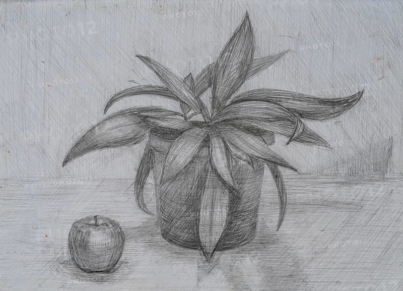 A detailed drawing depicts a lush potted plant with long, slender leaves next to a shiny red apple. The scene is set on a simple table, showcasing the contrast between the organic forms and smooth surfaces in soft gray tones