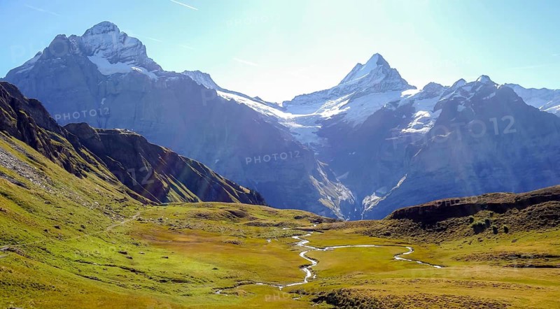 A stunning panoramic view of the french alps and swiss alps showcasing lush green landscapes and a winding creek, set against towering snow-capped peaks and clear blue skies