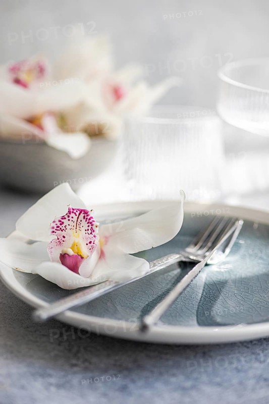 A sophisticated dining setup featuring a white orchid on a blue gray plate, complemented by silverware. The scene is softly lit, evoking a serene, elegant atmosphere