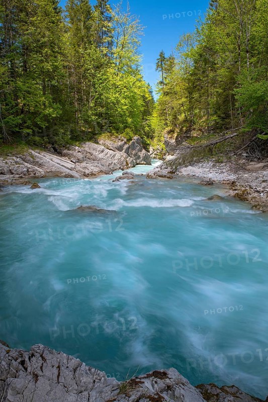 Rissbach stream in spring, Rissbach gorge near Hinterriss, Hinterriss, Bavaria, Germany