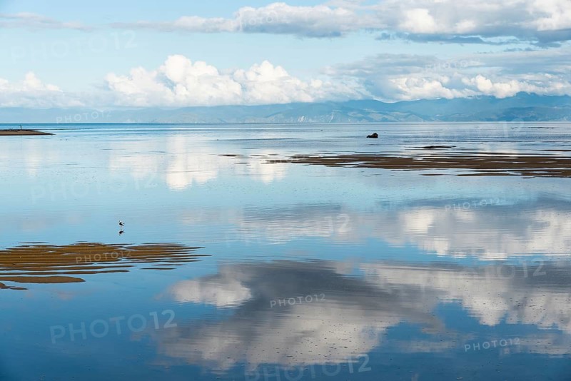 Water, reflection, reflection, sandbanks, bird, still life, cloud reflection, cloud formation, played clouds, white clouds