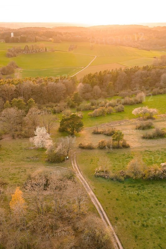 Rural trail through green fields in an illuminated evening landscape, e-bike tour, old sports field in Gechingen, Hecken and Gäu region, Calw district, Germany