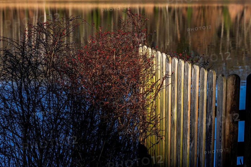 Schlachtensee, Zehlendorf, Berlin, Germany