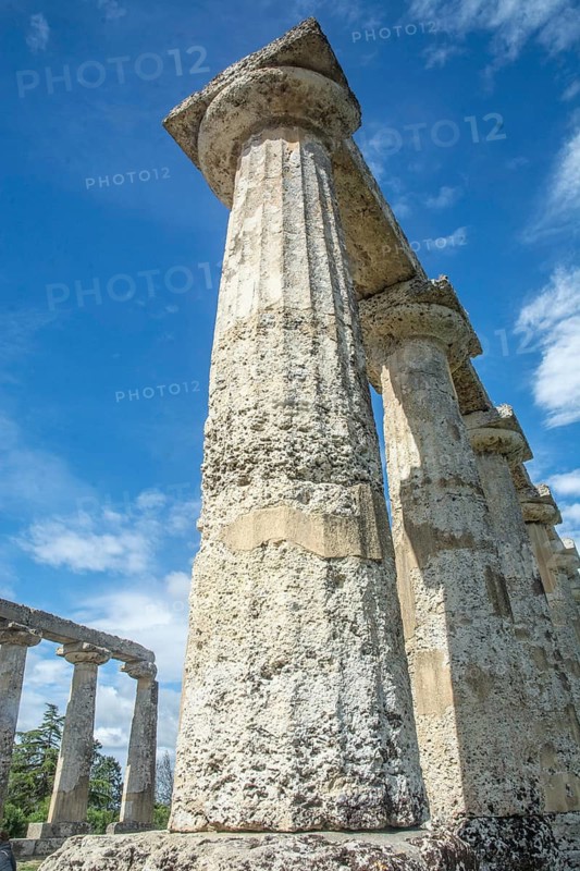 Columns of the Doric Temple of Hera, archaeological site site of Metaponto, Bernalda, Basilicata region, Italy, Southern Europe
