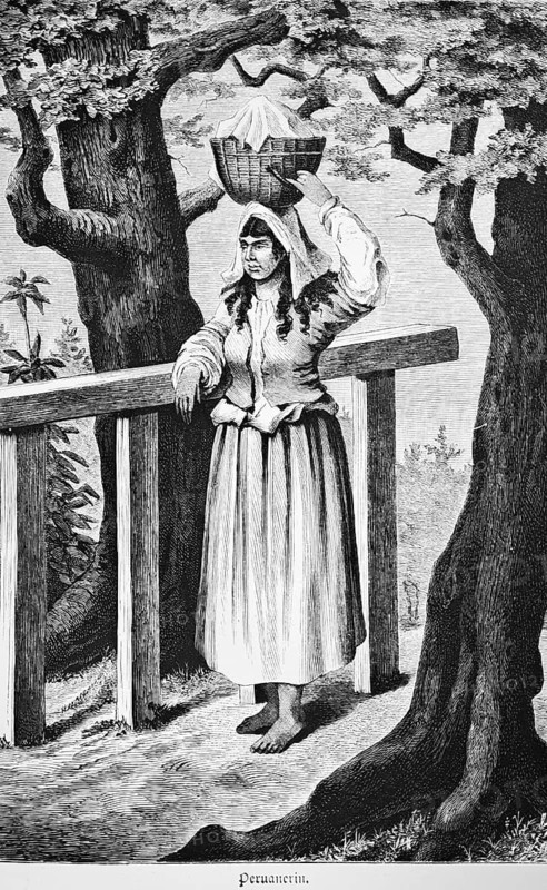 Peruvian woman carrying a filled basket on her head, leaning on wooden scaffolding to pick up the heavy load, outdoors, simple clothes, long skirt, blouse, shawl, long black hair, barefoot, two deciduous trees, historical illustration, Peru, 19th century woman