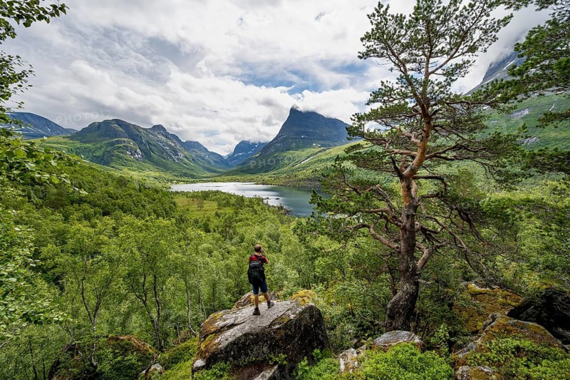 Young man standing on rocks and taking pictures, Innerdalen high valley with lake Innerdalsvatna, mountains, right Innerdalstårnet, Trollheimen, Sunndal, Møre og Romsdal, Vestlandet, Norway