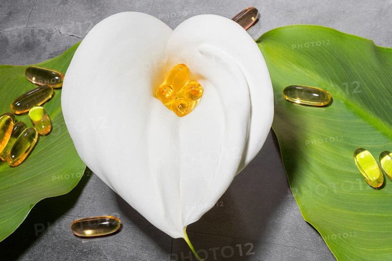 Elegant presentation of high end omega-3 oil supplement capsules on a white calla lily, situated on lush green leaves on concrete background