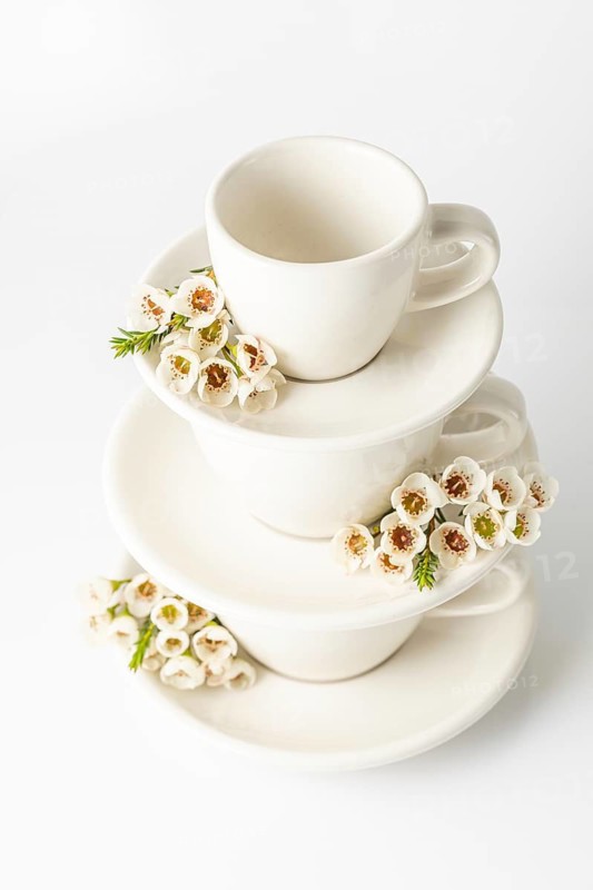 Stack of elegant white teacups and plates, decorated with delicate white spring flowers, set against a soft, clean background. The arrangement captures a fresh, aesthetic feel perfect for spring