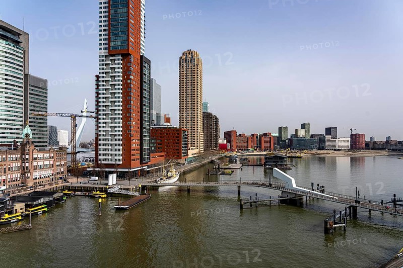 Kop van Zuid, Wilhelminapier, skyscrapers on the Nieuwe Maas, skyline of the city center, Rijnhaven harbor basin, Rijnhaven bridge, Rotterdam, Netherlands