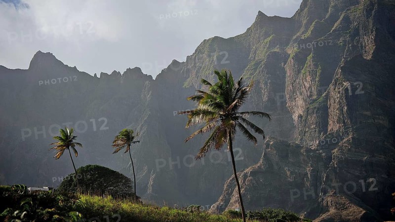 Three palm trees in front of a dramatic mountain range under slightly cloudy sky, spectacular hiking, Santo Antao, Cabo Verde, Cape Verde, Cape Verde