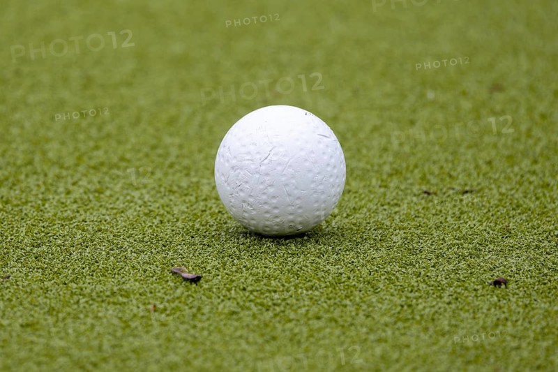 Hockey icon: close-up of a hockey ball on a hockey field