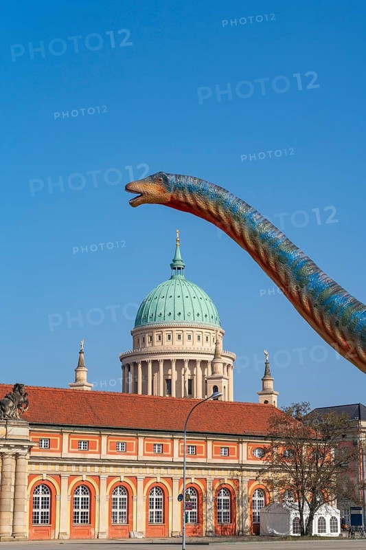 Large figure of a brontosaurus from a dinosaur exhibition in front of the film museum in the historic Marstall and the dome of the Nikolaikirche, Potsdam, Brandenburg