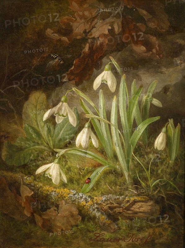 Snowdrops in the forest with moss and insects under soft lighting, painting by Josef Lauer (1818, 1881), Austrian still life painter who was active in the Biedermeier period, among others