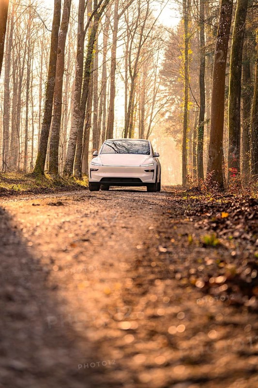White electric car on a forest path in atmospheric morning lighting surrounded by trees, Tesla New Model Y, Germany