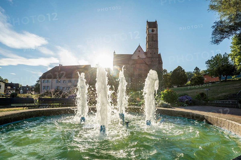 Monastery and monastery church, Alpirsbach, Northern Black Forest, Black Forest, Baden-Württemberg, Germany