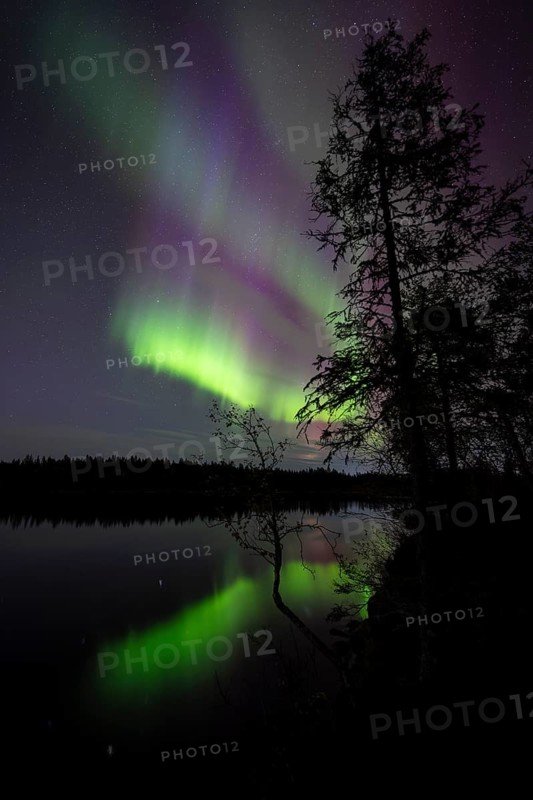 Northern Lights (Aurora borealis) reflected in a forest lake, Gällivare, Norrbotten, Lapland, Sweden, September 2023