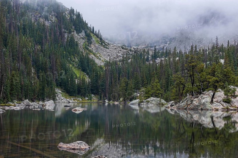A tranquil and moody image capturing a serene alpine lake reflecting dense, foggy coniferous forests and rocky slopes in Colorado, ideal for themes of nature and solitude