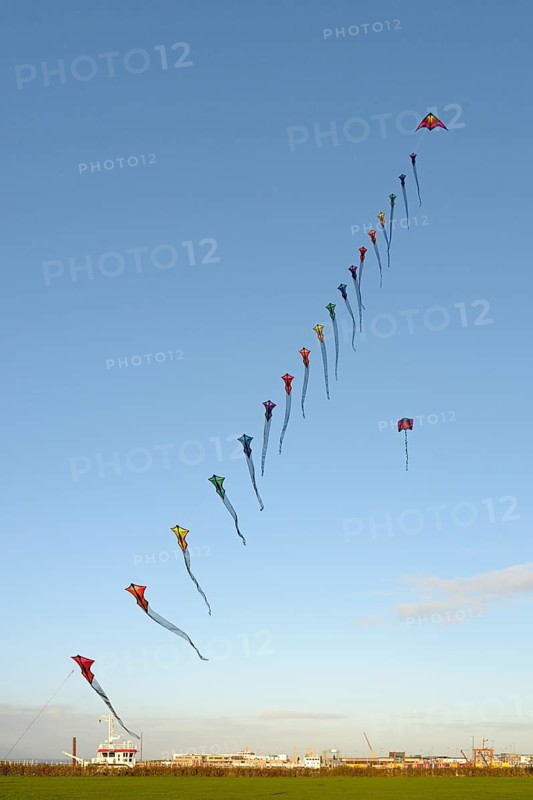 Many colourful wind birds in the blue sky, Drachenwiese, Norddeich, North Sea, Lower Saxony, Germany