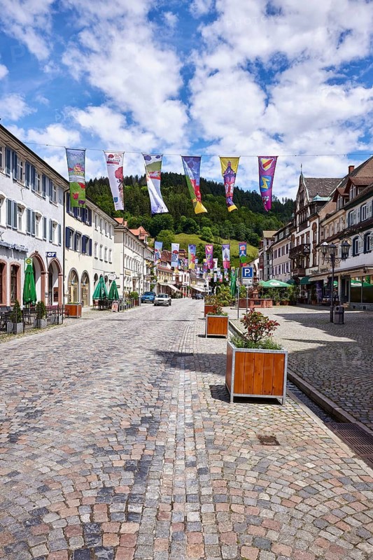 Historic buildings, old town, flower pots, cobblestones, town festival, flags for the town anniversary, hilly landscape, coniferous forest, blue sky, cumulus clouds, main street, Wolfach, Black Forest, Ortenaukreis, Baden-Württemberg, Germany