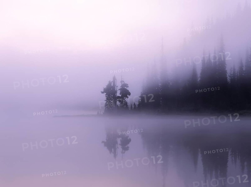 An ethereal mist covers Reflection Lake at Mount Rainier National Park, creating a serene view with subdued hues and the silhouette of trees mirrored in the calm waters